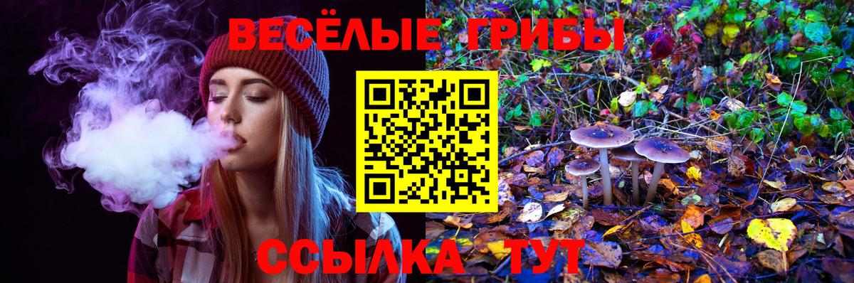 Галлюциногенные грибы MAGIC MUSHROOMS Рассказово