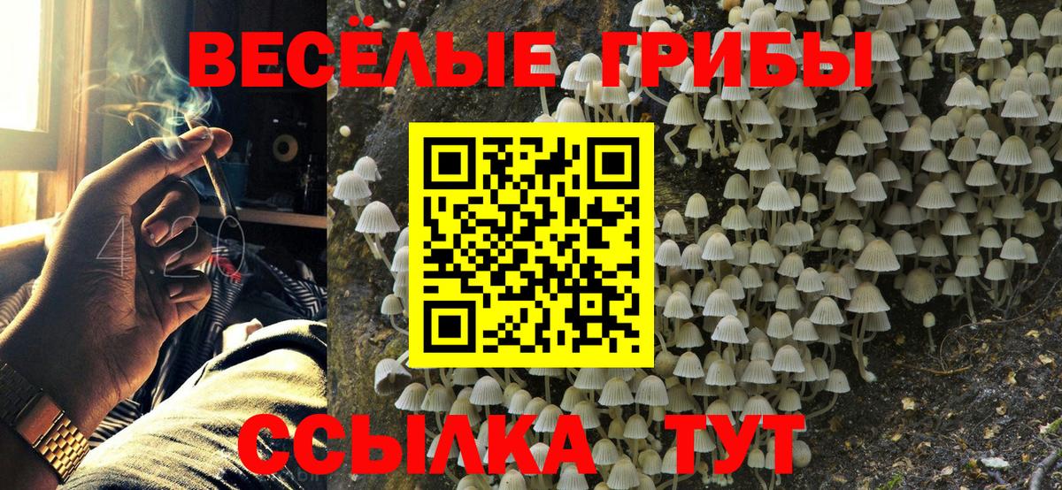 Рассказово  Галлюциногенные грибы MAGIC MUSHROOMS  Вход с VPN 